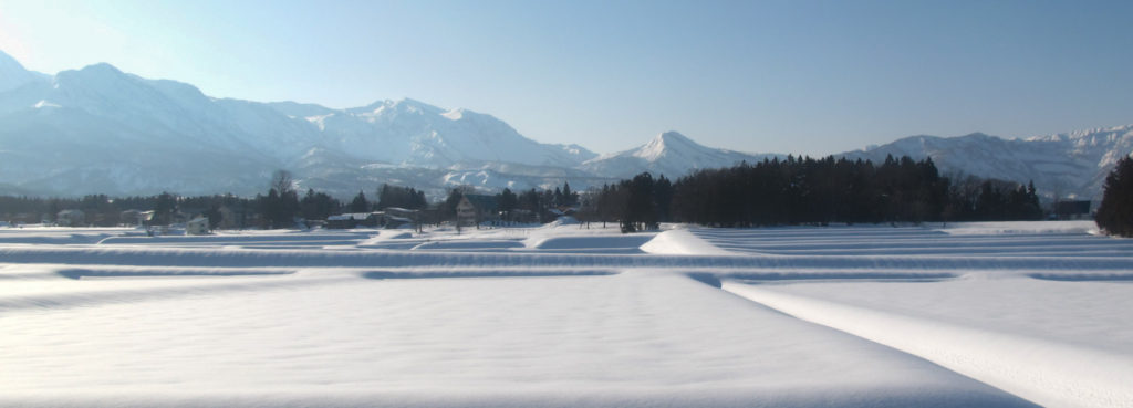 Session d'hiver